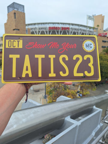 License Plate Novelty